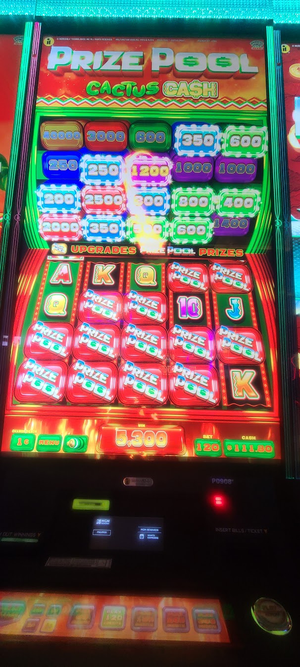 Prize Pool / Cactus